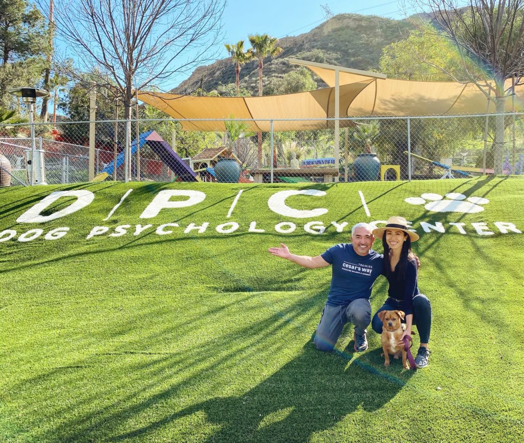 Cesar Millan and Christine Chang at The Dog Psychology Center